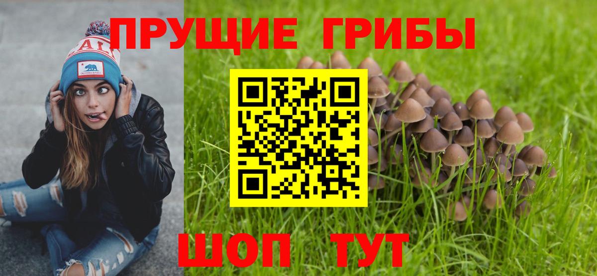 Псилоцибиновые грибы Magic Shrooms Магадан